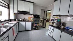 Blk 520 Pangshan Valley (Bukit Panjang), HDB Executive #500282771